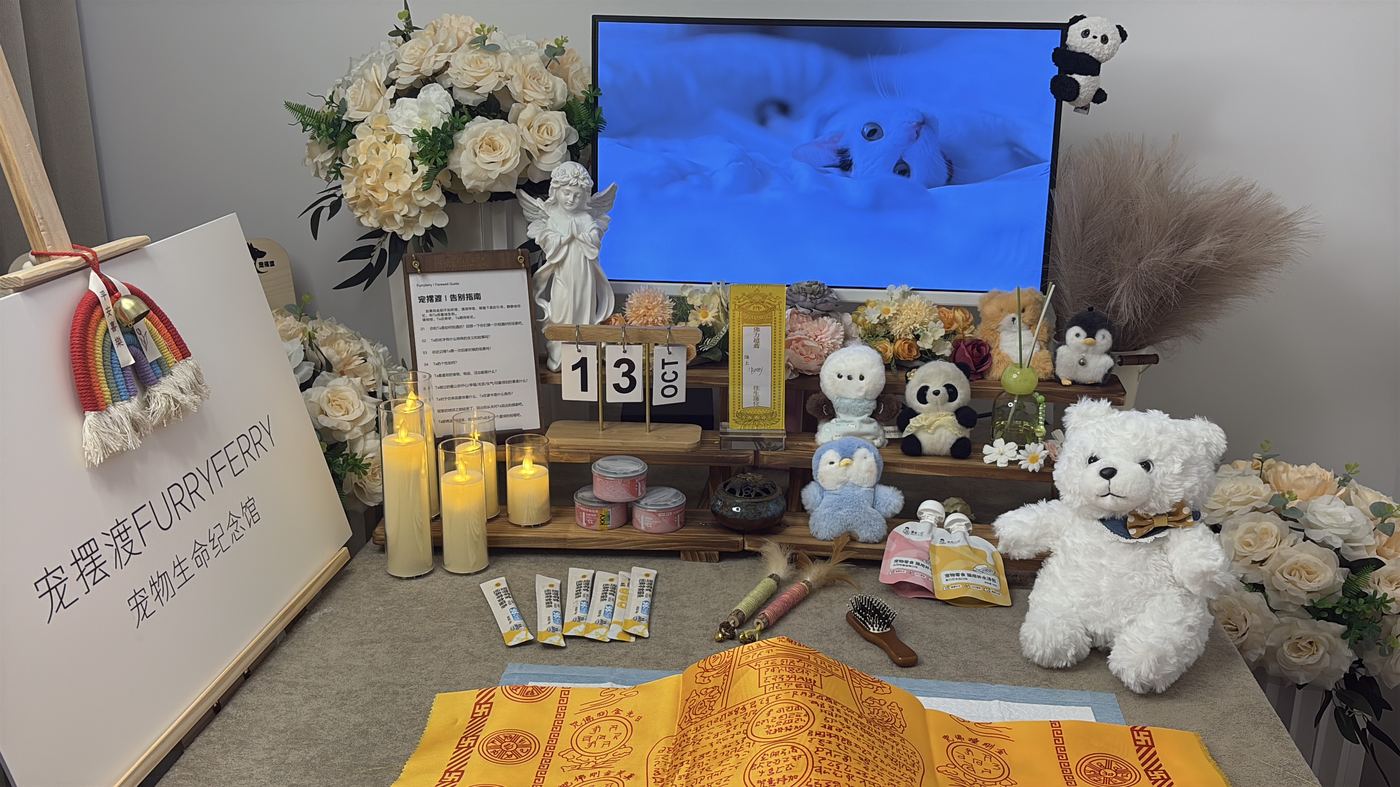 佛山宠物告别厅布置：如何给禅城家属一个体面的告别