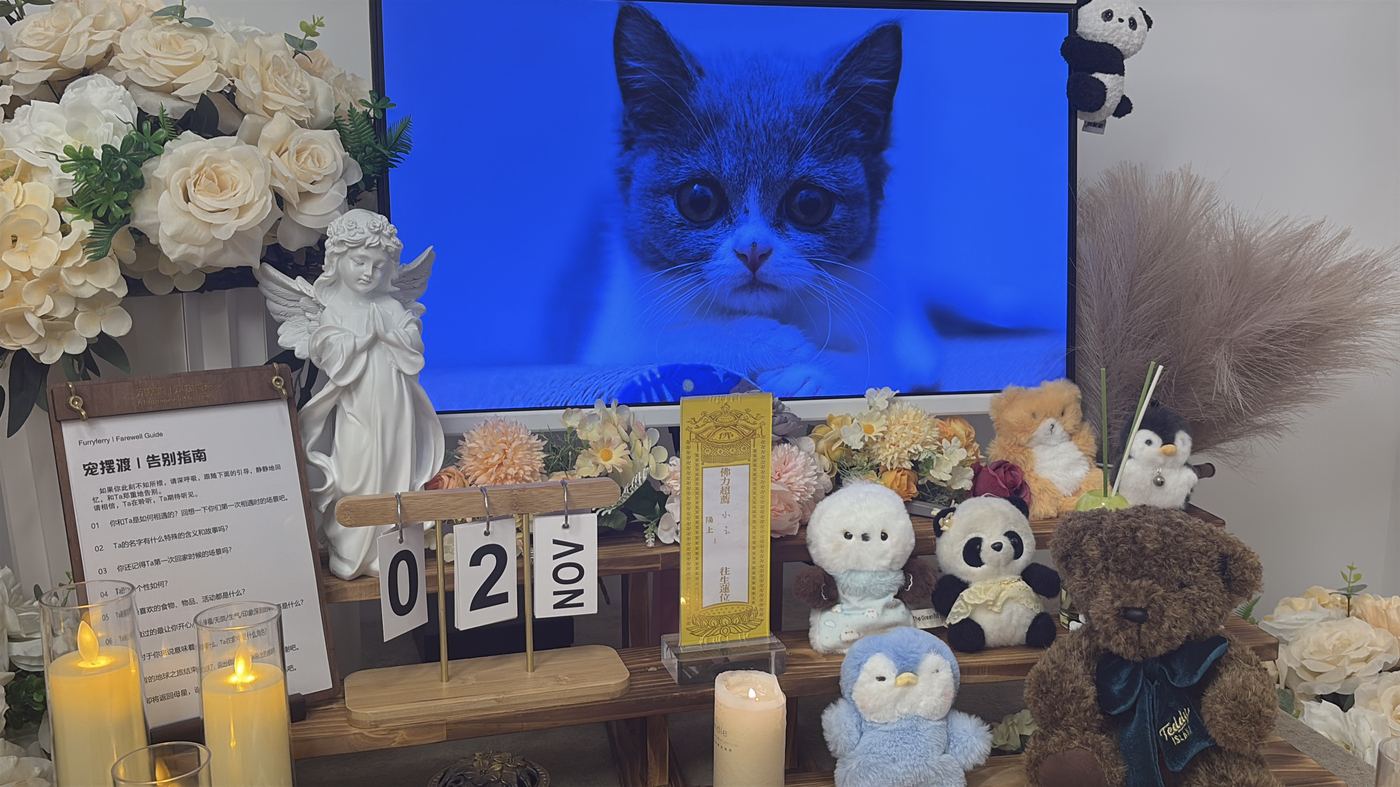 让它继续参与家庭生活